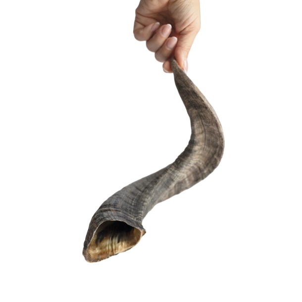 Snack it V�dderhorn                               