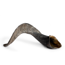 Snack it V�dderhorn                               