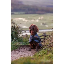 WB hunded�kken Classic 80 gr�                     