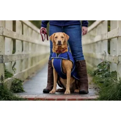 WB hunded�kken Parka Deluxe 60                    