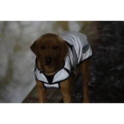 WB hunded�kken Refleks 45 silv                    