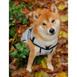 WB hunded�kken Refleks 45 silv                    