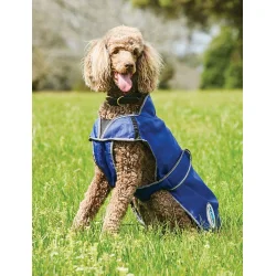 WB hunded�kken Free Deluxe 60                     