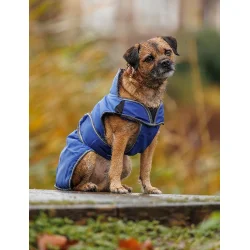 WB hunded�kken Free Deluxe 60                     