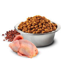 N&D Quinoa Skin&Coat Quail&Coc                    
