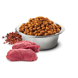 N&D Quinoa Skin&Coat Venison&C                    