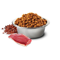 N&D Quinoa Skin&Coat Duck&Coco                    