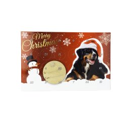 Christmas Kalender Mini treats                    