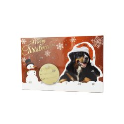 Christmas Kalender Mini treats                    