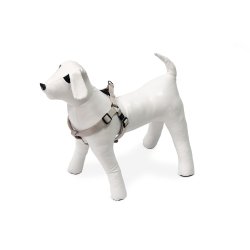 MixMatch Step and Go Sele XS                      