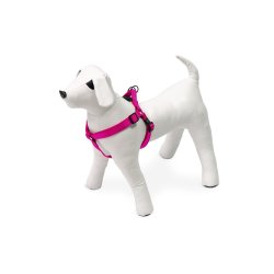 MixMatch Step and Go Sele XS                      