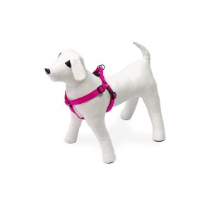 MixMatch Step and Go Sele XS                      