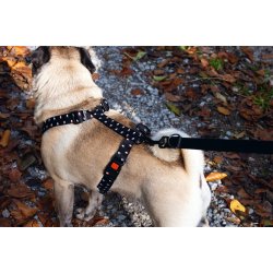 MixMatch Y-sele S trekanter                       