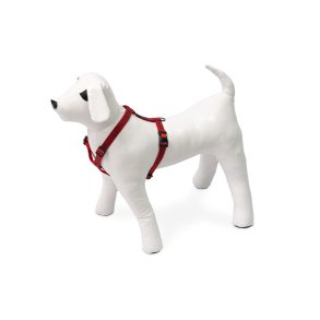 MixMatch Y-sele S Grafisk                         