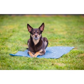 Klemtte Drop XL 100x60cm                        