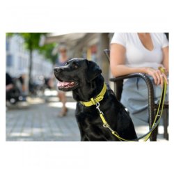 Hunter Line Capri 20/200                          