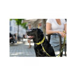 Hunter Line Capri 11/200                          