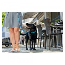 Hunter Line Capri 20/200                          