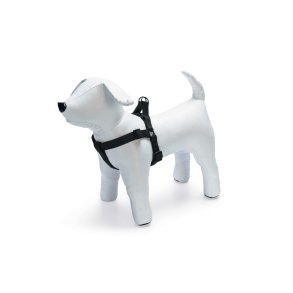 MixMatch Step and Go Sele L                       