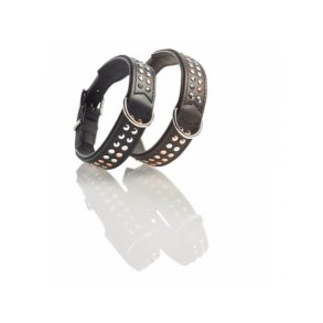 Hunter Halsbnd San Diego 40cm                    