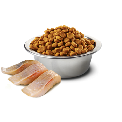 N&D CAT Ocean Neutered Herring                    