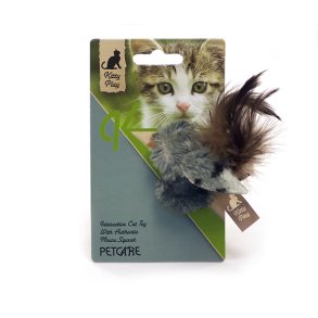 Kitty play squeaking grey bird                    