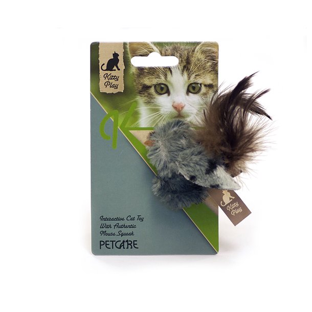 Kitty play squeaking grey bird                    
