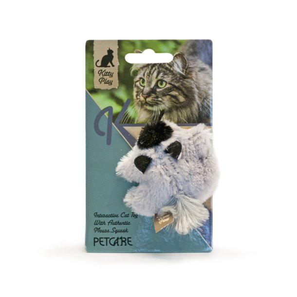 Kitty play squeaking racoon                       