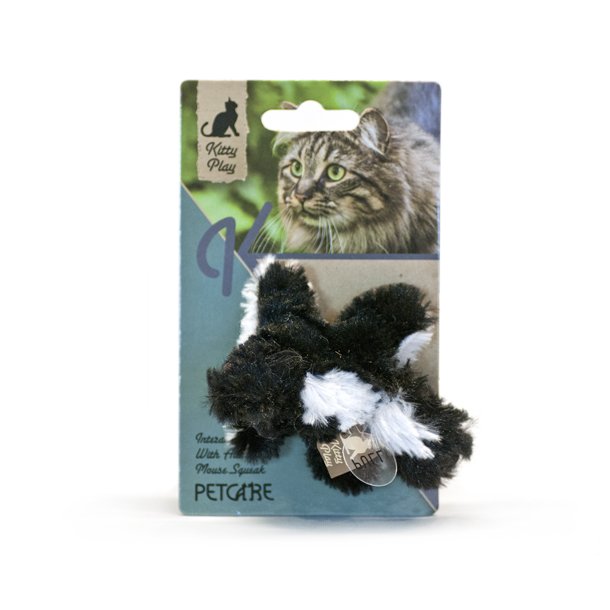 Kitty play squeaking Skunk                        