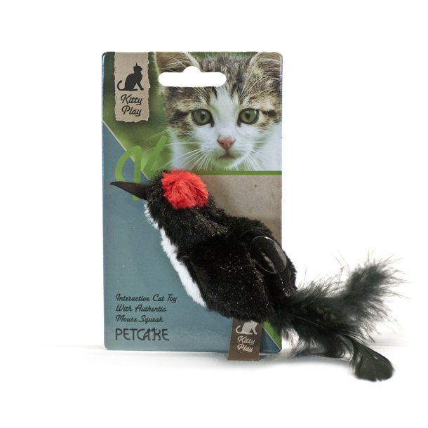 Kitty play squeaking black bir                    