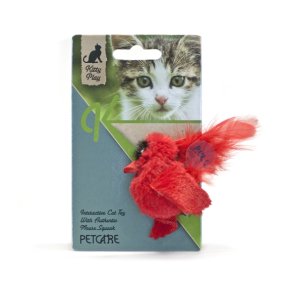 Kitty play squeaking red bird                     