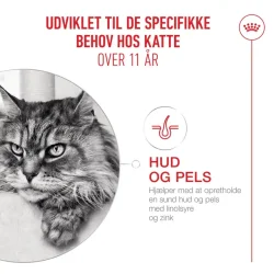 Ageing 11+ 4kg                                    