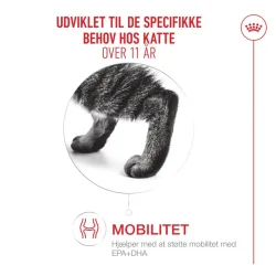 Ageing 11+ 4kg                                    