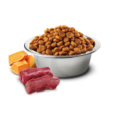 N&D Pumpkin Venison&AppleME/MA                    