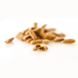 Clever Cat Pillows Catnip                         