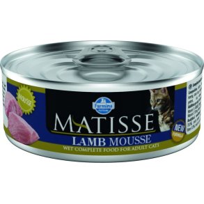Matisse Cat Lam 85gr Mousse                       