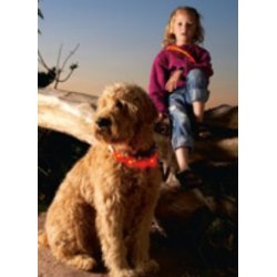 Visio Light LED Zebra Rd/Hvid                    