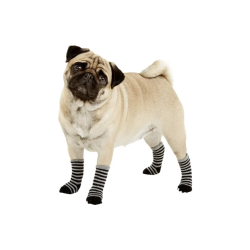 Pet Socks 4stk XS                                 