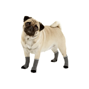 Pet Socks 4stk XS                                 