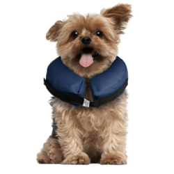 Inflatable Collar For Dogs XS                     