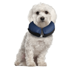 Inflatable Collar For Dogs S                      