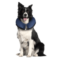 Inflatable Collar For Dogs M                      