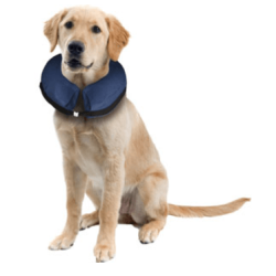 Inflatable Collar For Dogs L                      