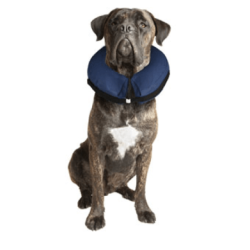 Inflatable Collar For Dogs Xl                     