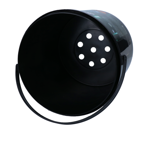 Dog Comets Meteor Shower                          