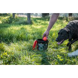 Dog Comets Meteor Shower                          