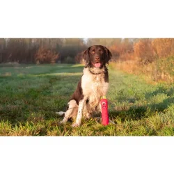 Dog Comets Invaders Pink L                        