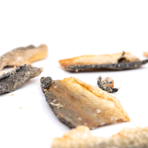 Snack it LakseskindFlade stykk                    