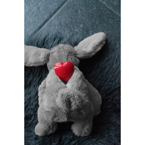 Cozy Dog Bunny Grey 30cm                          