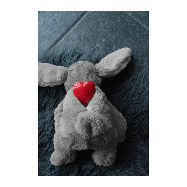 Cozy Dog Bunny Grey 30cm                          